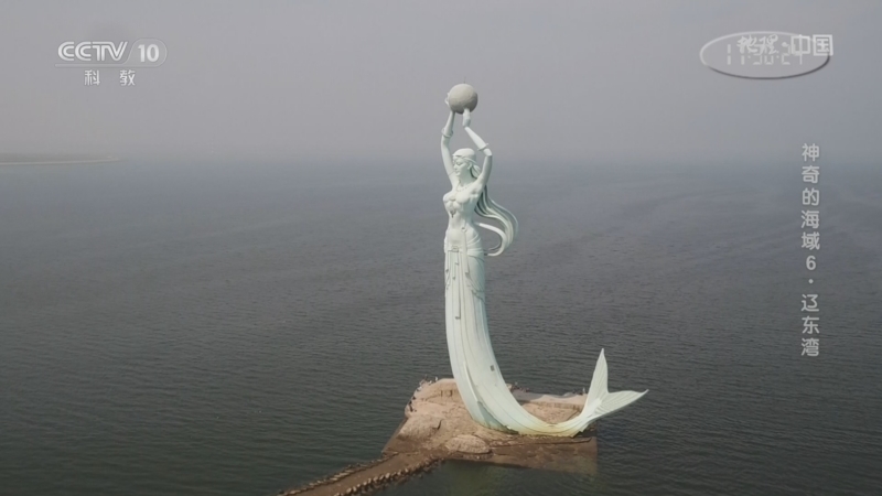 地理中国 《地理·中国》 20230721 神奇的海域6·辽东湾