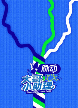 大哥小助理