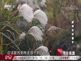 今日说法 《今日说法》 20180505 被抱走的童年