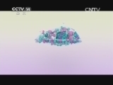 智慧树 《智慧树》 20140820