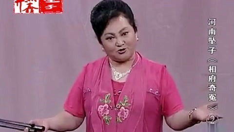 河南坠子 河南坠子 相府奇冤 二部