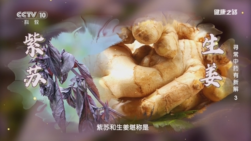 健康之路 《健康之路》 20260609 寻常中药有新解 3