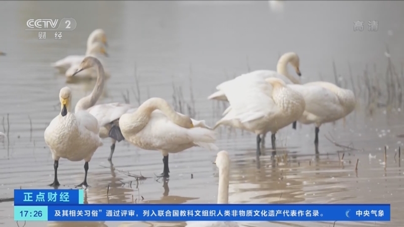 正点财经 《正点财经》 20221130 17:00