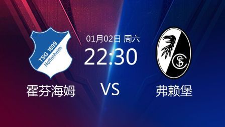 2020-2021德甲联赛第14轮 霍芬海姆VS弗赖堡