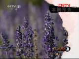 生财有道 《周末特供》 20111005 生财有道