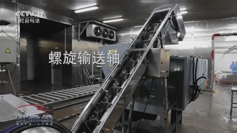 生命线 《生命线》 20260107