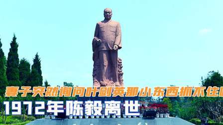 红墙往事 陈毅离世，妻子却突然询问叶剑英：那小东西抓不住吗