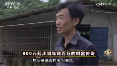 致富经 [致富经]800元起步到年赚百万的财富传奇 20160801