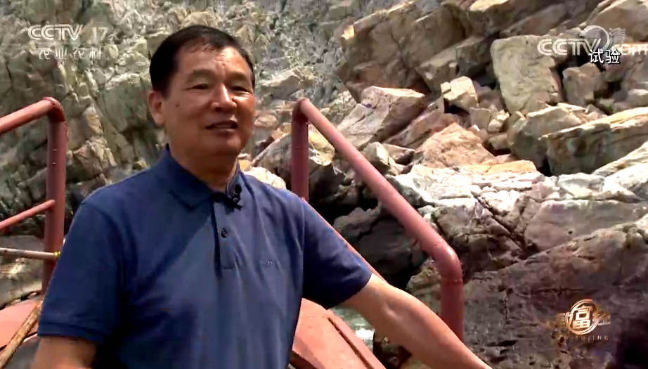 致富经 《致富经》 20190808 南麂岛上的老人与海