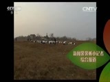 新闻袋袋裤 《新闻袋袋裤》 20151029
