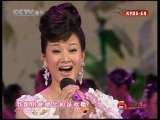 风华国乐 风华国乐 2010年 第162期