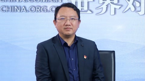 述评《中国的全面小康》