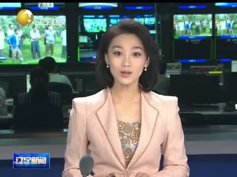 辽宁新闻 《辽宁新闻》 20140710