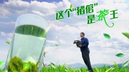 与梦想合拍 这个“猪倌”是茶王