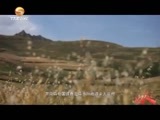 好人在身边 《好人在身边》 20151213 藏乡格桑花