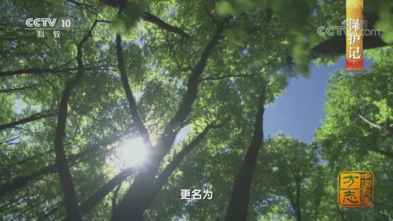 中国影像方志 《中国影像方志》 第647集 广东东源篇