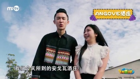 东奔悉跑 第一季 涨姿势 红酒是怎样酿成的 08