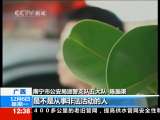 法治在线 法治在线 2010-12-06