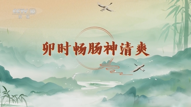 百家讲坛 《百家讲坛》 20260326 延年益寿话养生（第二部）12 卯时畅肠神清爽