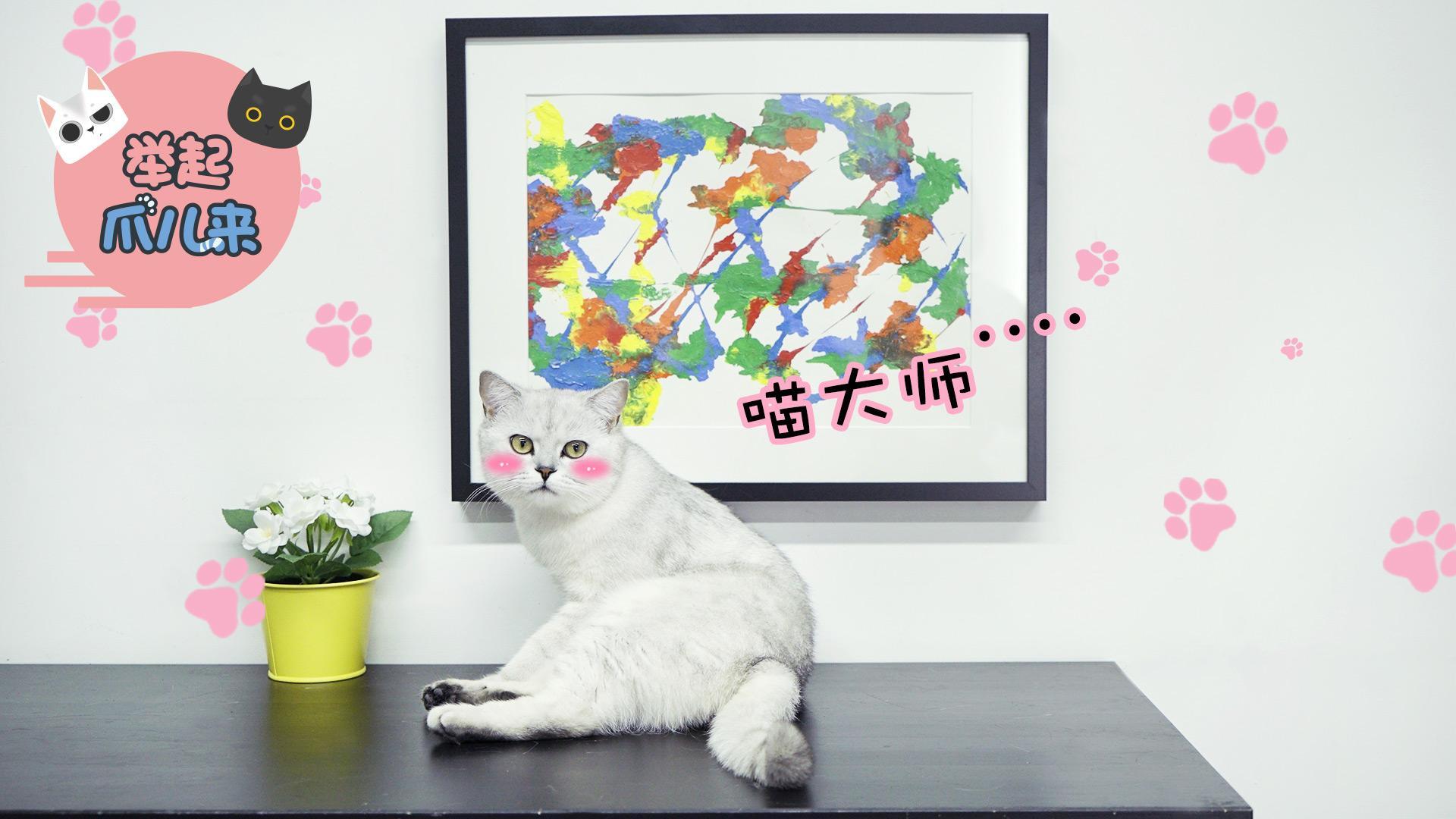 举起爪儿来 猫主子变艺术家【举起爪儿来】