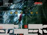 地理中国 《地理中国》 20111105 深谷幽洞