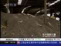 经济信息联播 国家托市 进口油菜籽挤压状况缓解