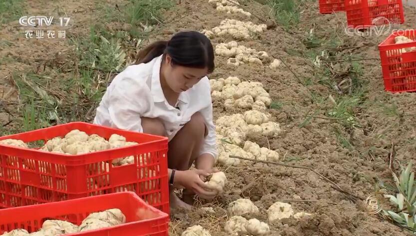 致富经 《致富经》 20190924 湘妹子瑶乡创富记