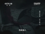 地理中国 《地理中国》 20140808 毒物追踪-密林疑云