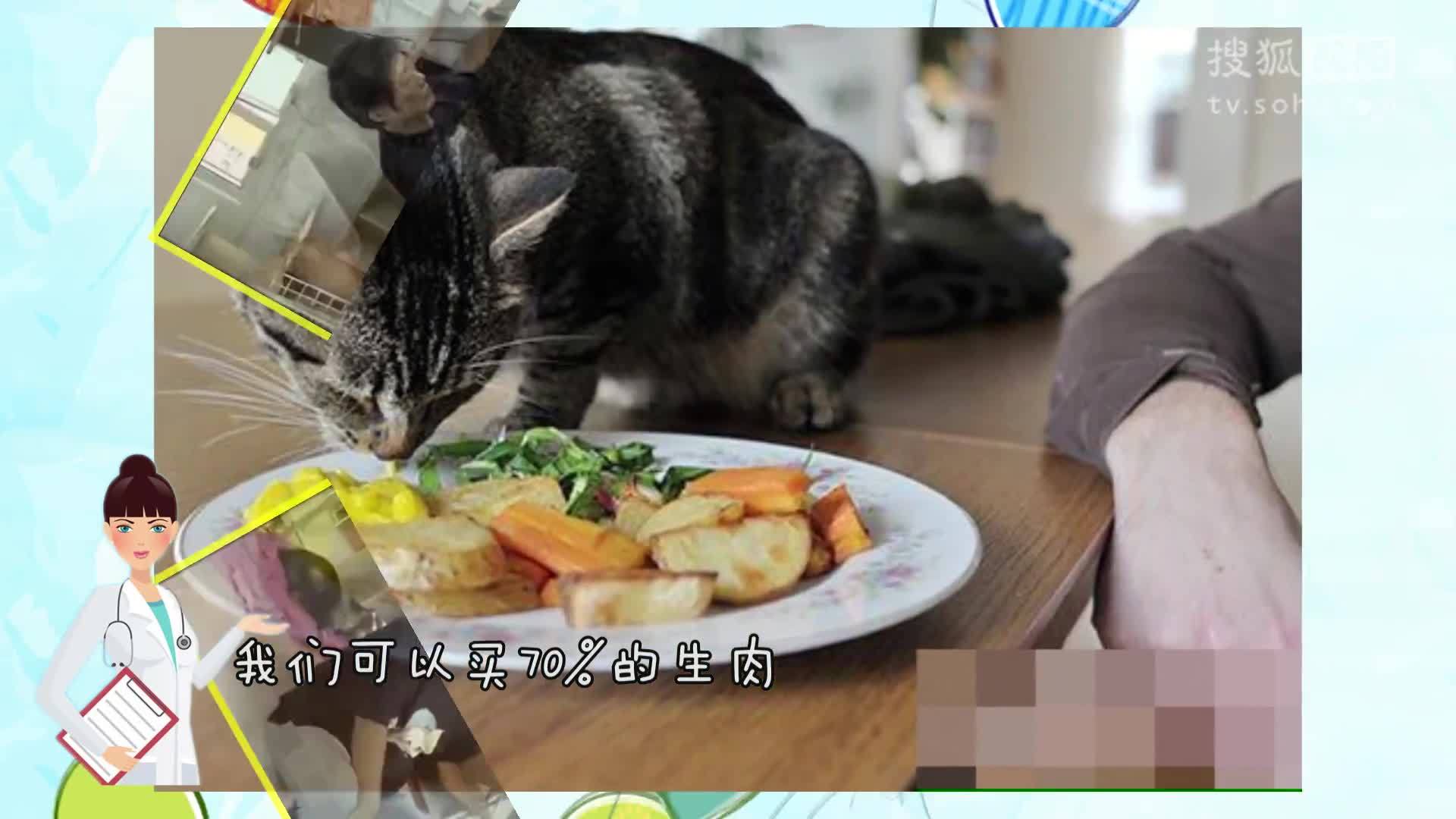 萌宠大乐斗 萌宠大乐斗207  阿喵~你连睡觉的样子都辣么萌!