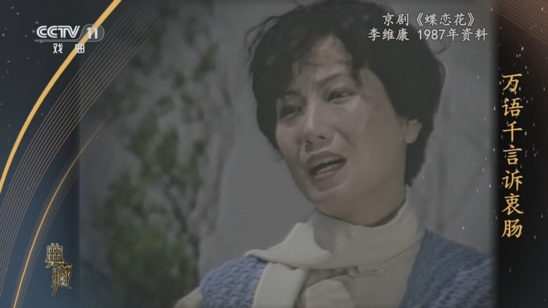 典藏 《典藏》 20241126