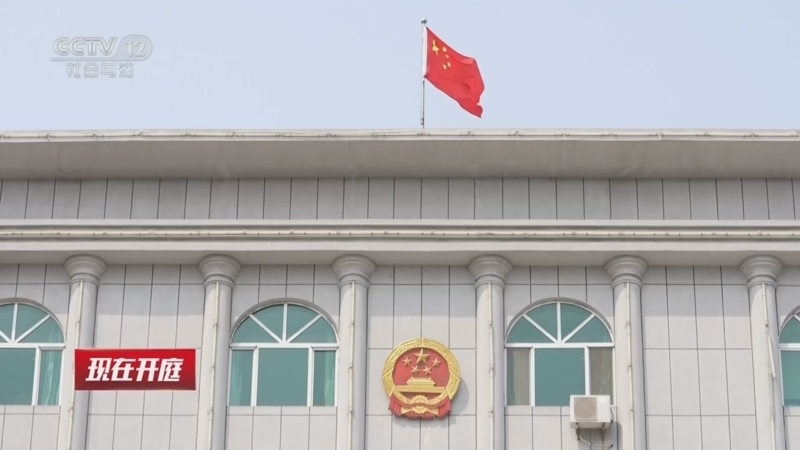 现场 《现在开庭》 20260614 拿什么保护你 我的孩子