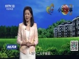 小区大事 《小区大事》 20160819 长寿的怨念