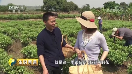 生财有道 《生财有道》 20190415 咱们家乡春天美 云南元江：春暖花开味道鲜