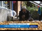 西藏新闻联播 《西藏新闻联播》 20171225