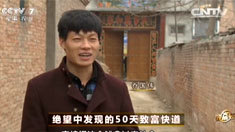 致富经 [致富经]绝望中发现的50天致富快道 20160406