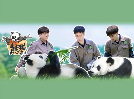 熊猫一家人 第7期：实习生洒泪熊猫康养院