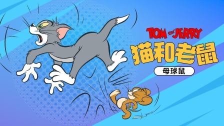 猫和老鼠-母球鼠