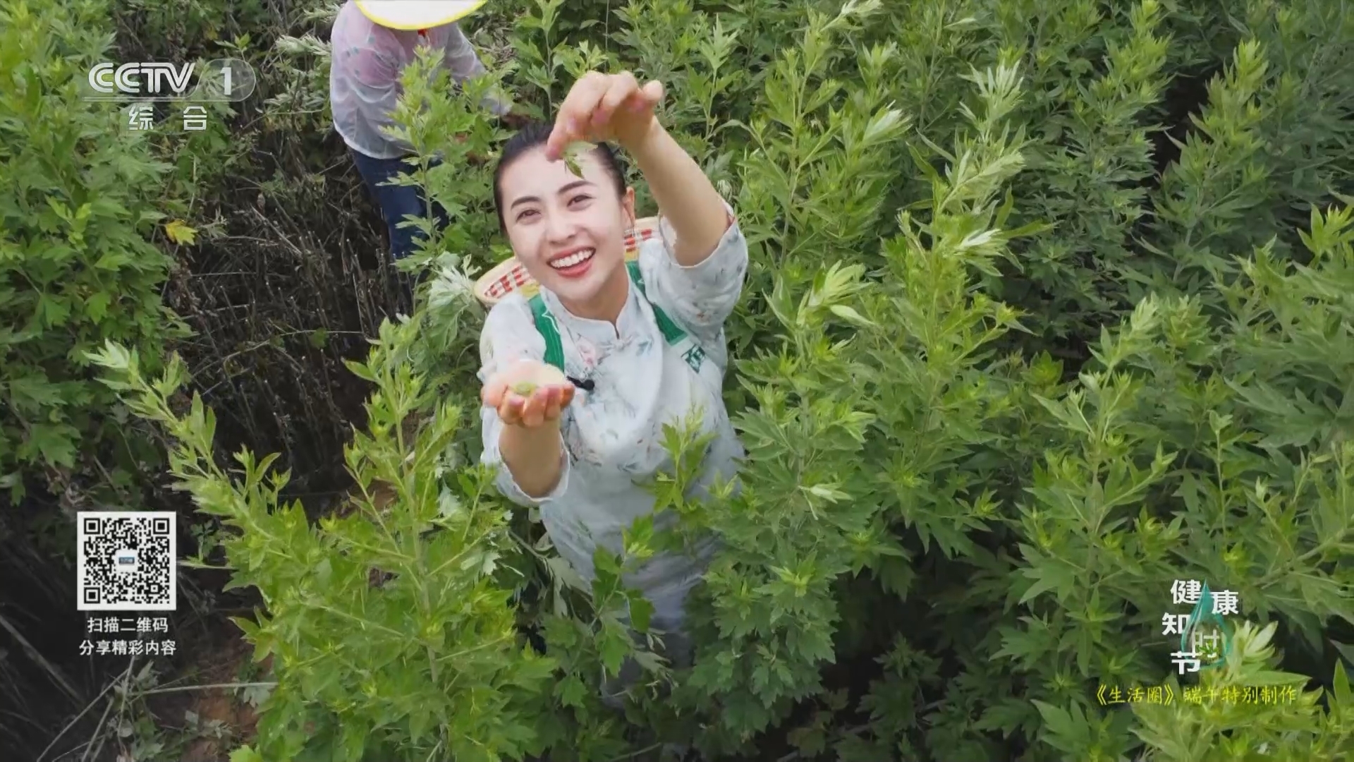 生活圈 《生活圈》 20230622 端午特别制作：健康知时节