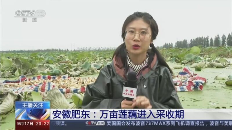 24小时 《24小时》 20200917