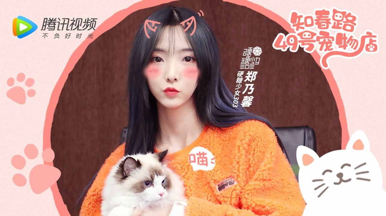 知春路49号宠物店×硬糖少女303郑乃馨：带捏捏接通告