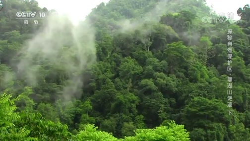 地理中国 《地理·中国》 20200229 探秘自然保护区·鼎湖山谜迹 下