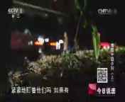 今日说法 《今日说法》 20140724 惊魂十四小时（上）
