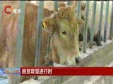 重庆新闻联播 《重庆新闻联播》 20170828