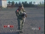 军事纪实 《军中犬霸王》 第05集 小犬的大能量 高清版