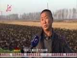 全省新闻联播 《全省新闻联播》 20141118