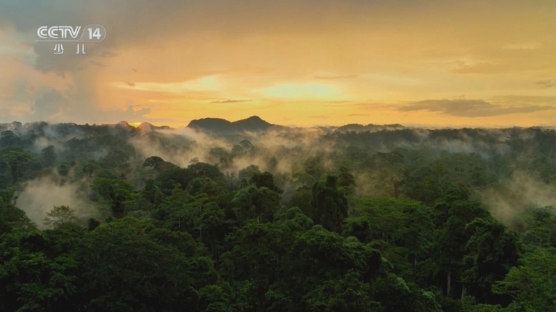 《动感特区》 20251024 非常游学团 动物保育少年联盟