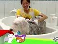 狗狗日记 第296天 第一次泡澡