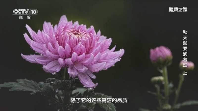 健康之路 《健康之路》 20240922 秋天就要润着过（上）