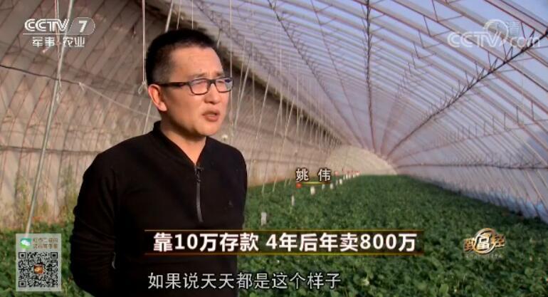 致富经 [致富经]靠10万存款 4年后年卖800万 20180320