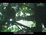 《香巴拉深处》 第三集 秘境